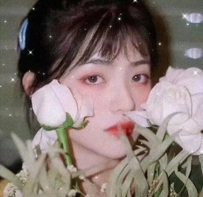伯纳德与休伊