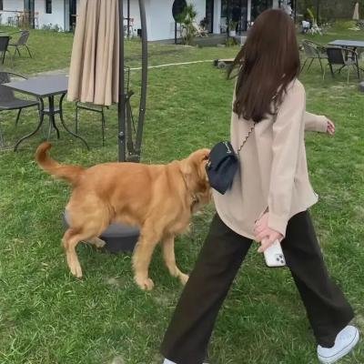 完美犯罪